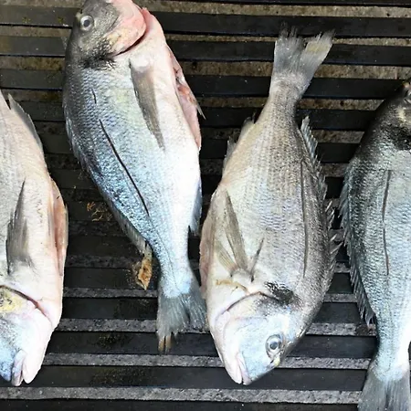 Villa Buby By Guide *