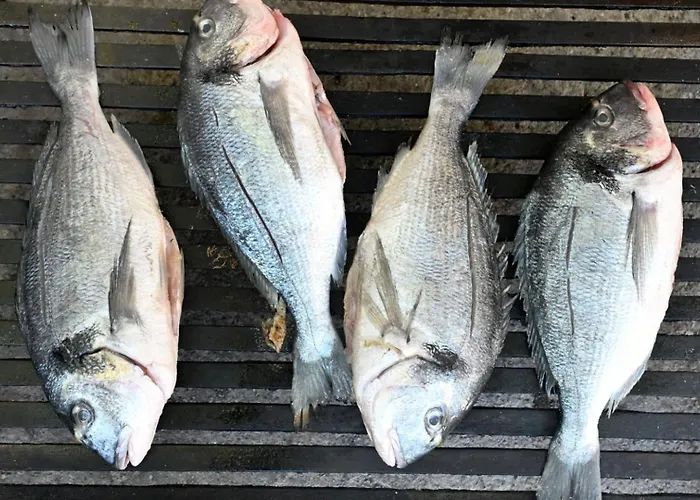 Villa Buby By Guide *