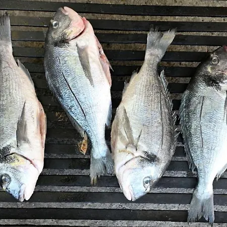 Villa Buby By Guide Kraljevica